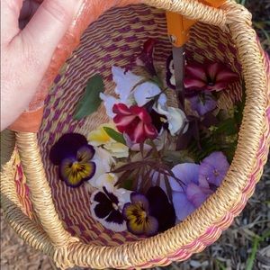 Meet your Posher, Charlotte